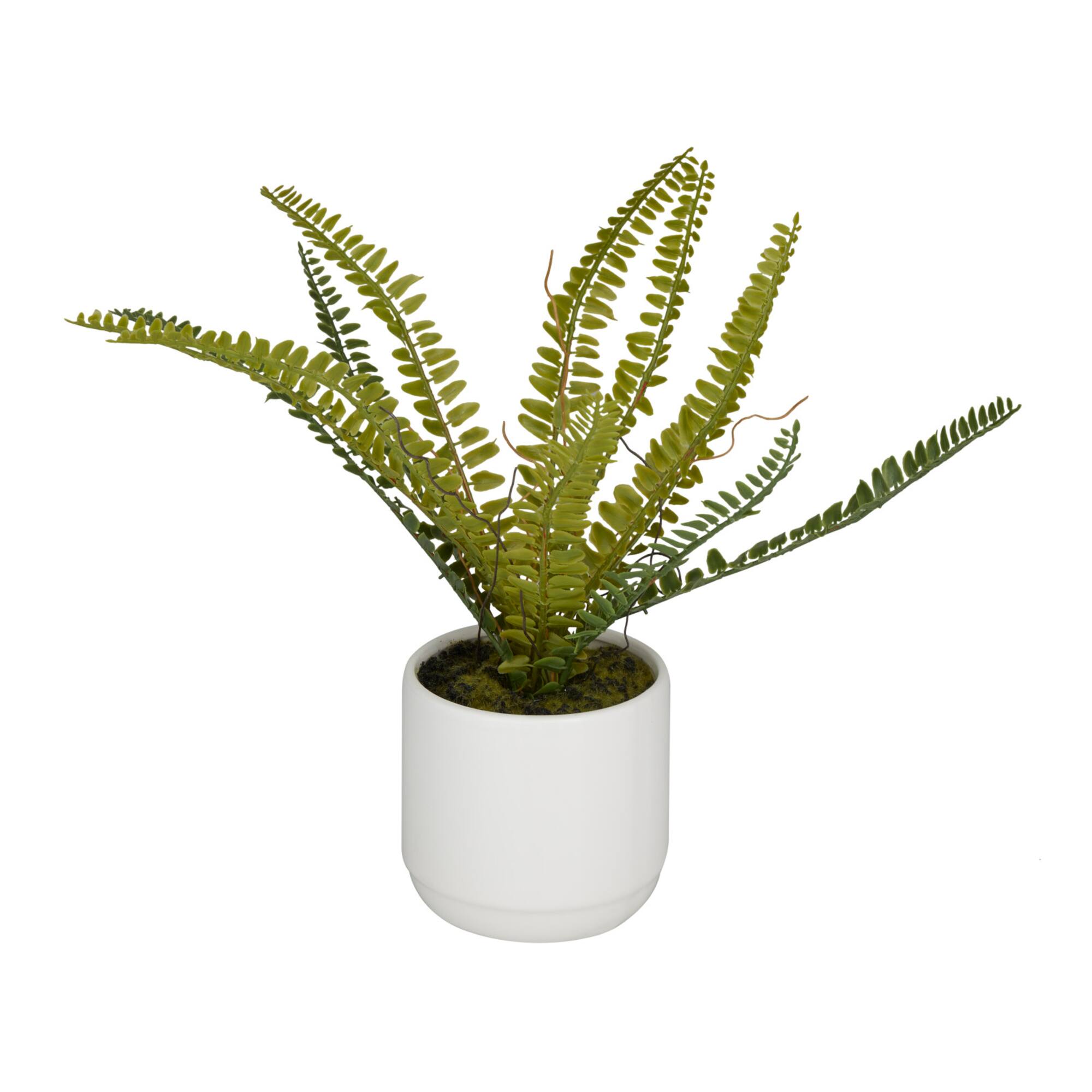 Green Ceramic Contemporary Artificial Foliage, 12" x 15" x 10"